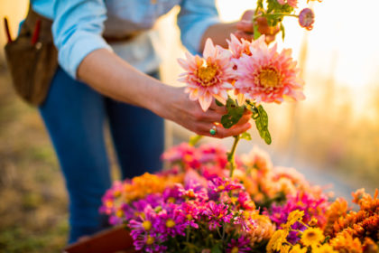 Personal Branding Photography with Jackie Coldsmith of Tierra Blooms by Kelly Heck Taneytown Maryland