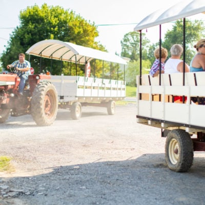 Local Homestead Products Farm & Market in New Windsor, MD | http://www.lhp.farm/ | Farm To Table Dinner July 2019