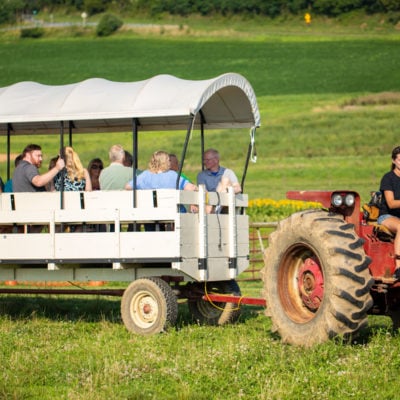 Local Homestead Products Farm & Market in New Windsor, MD | http://www.lhp.farm/ | Farm To Table Dinner July 2019