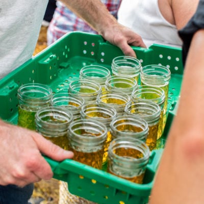 Local Homestead Products Farm & Market in New Windsor, MD | http://www.lhp.farm/ | Farm To Table Dinner July 2019