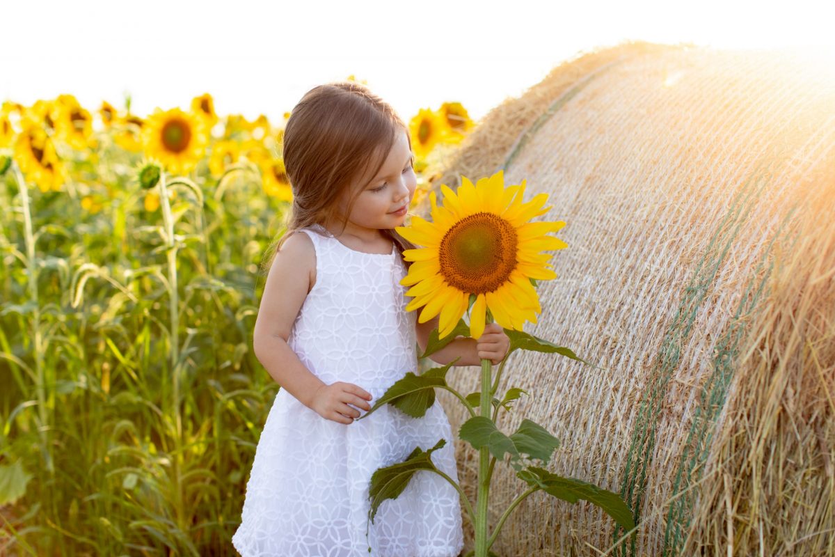 Local Homestead Products Sunflower Mini Portrait Session with Kelly Heck Photography | New Windsor, MD